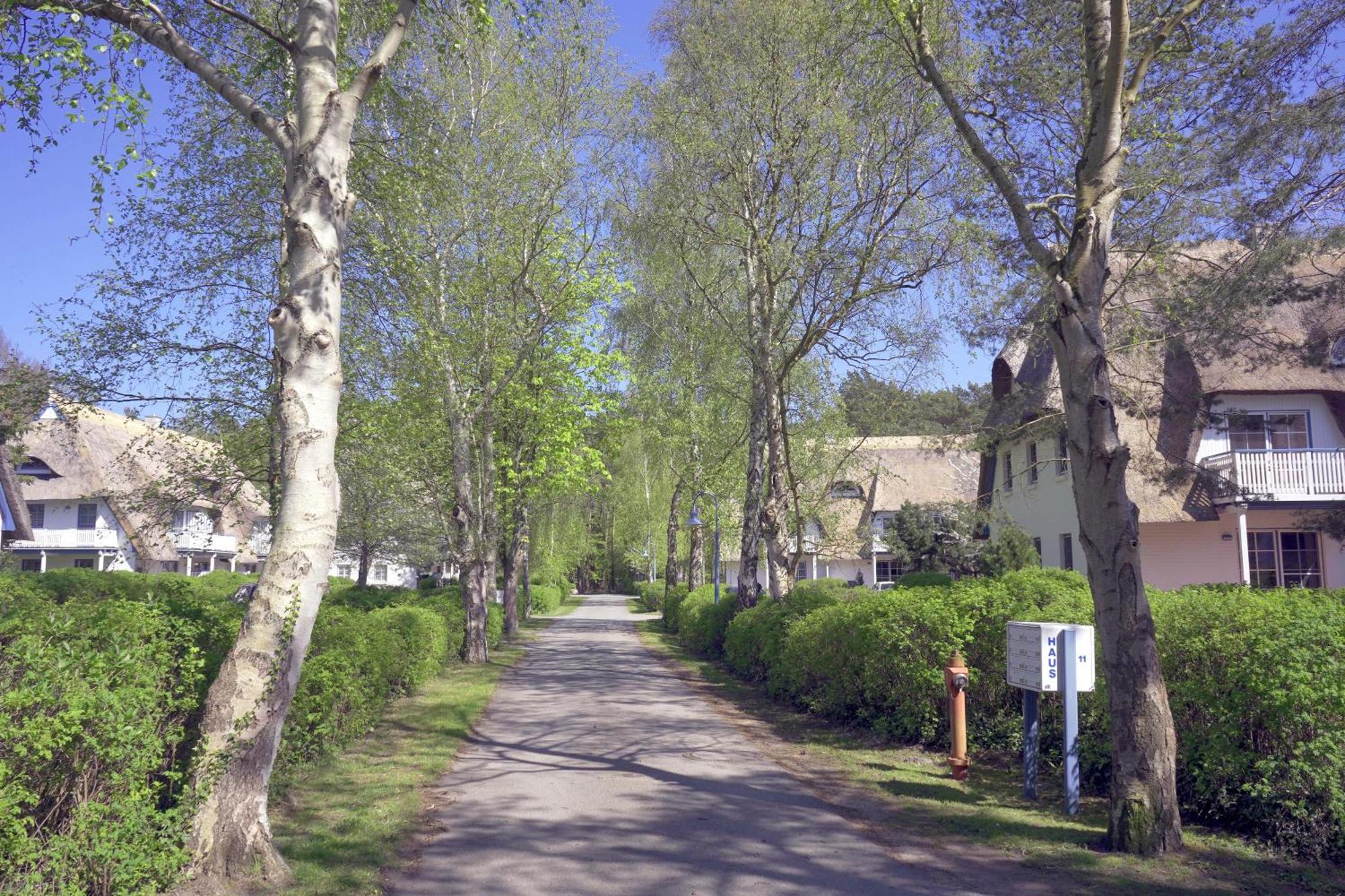 Achtern Diek 8A - Wohnung 5 Цингст Экстерьер фото